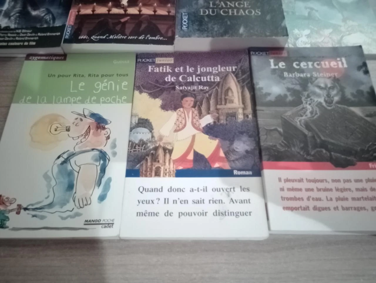 Lot de 10 livres de poches divers (2.99 les 10)(32) – photo 3